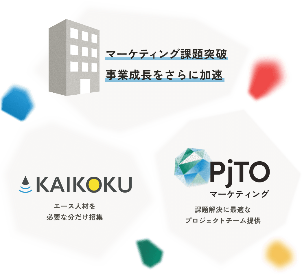 カイコクとPjTOマーケティングによるサービス概要